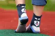 One, Five or Ten Pairs of Dog socks - Second Medium