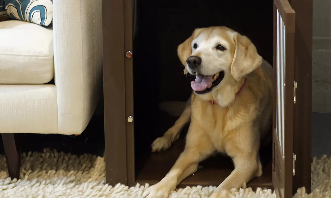 EcoFlex Dog Crate - Primary Image