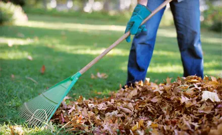 Fall Lawn Cleanup or Fall Lawn Cleanup with Aeration and Fertilization from Clean Sweep Building Maintenance - Primary Image