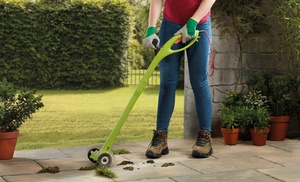 Electric Weed Sweeper with Optional Spare Brushes