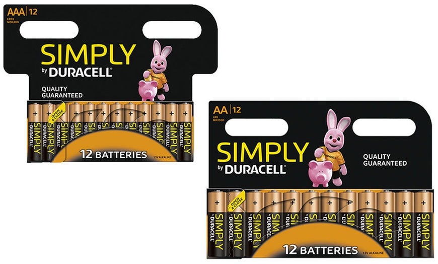 Image 1: Set van 12, 24 of 36 Duracell AA- of AAA-batterijen