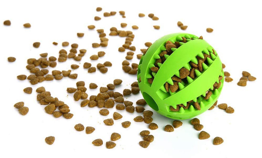 Image 11: Dog Chewing Ball Toy