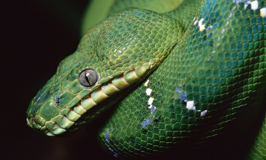 Image 1: Entrées au vivarium de Meyrin