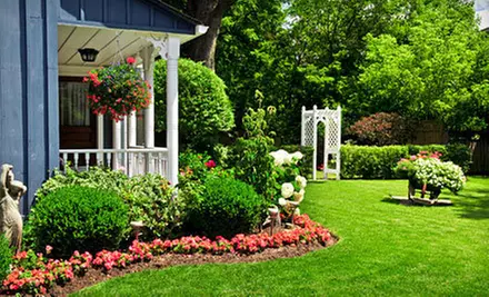 One or Two Months of Landscaping Maintenance from Black Rhino Property Services (Up to 53% Off) - Primary Image