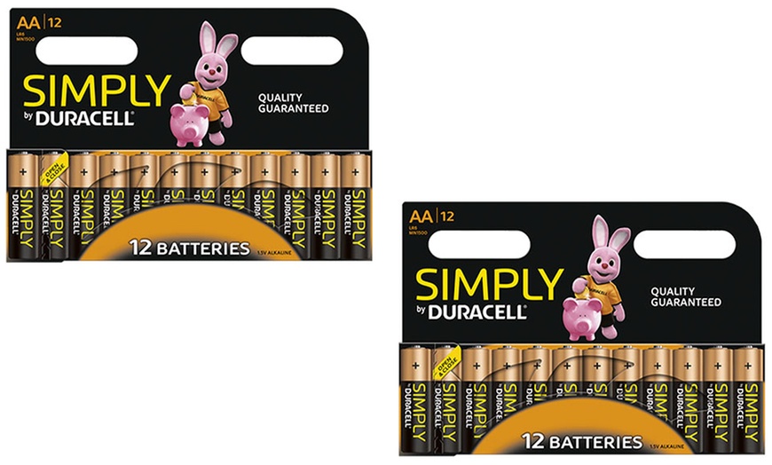 Image 3: AA or AAA Duracell Batteries
