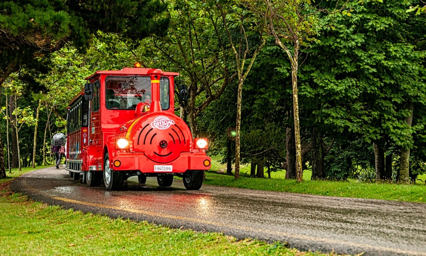 Image 2: ¡Descubre Santander a tu ritmo! Ticket de 24 h para bus turístico