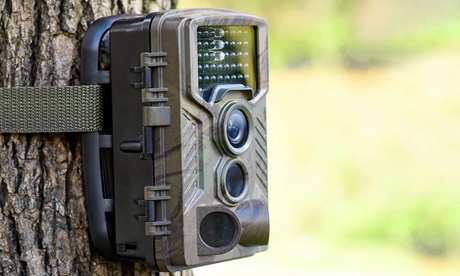 Fotocamera digitale Denver Electronics per fauna selvatica con CMOS 8MP