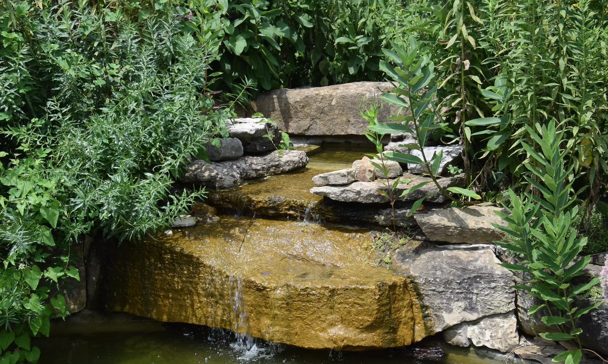 $30 for One-Year Family Membership to Louisville Nature Center ($60 Value) - Primary Image