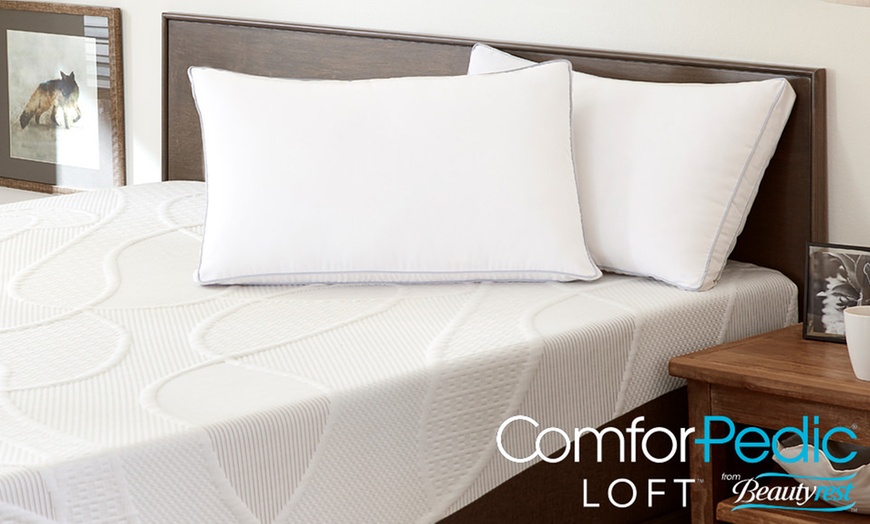 Comforpedic hot sale loft pillow