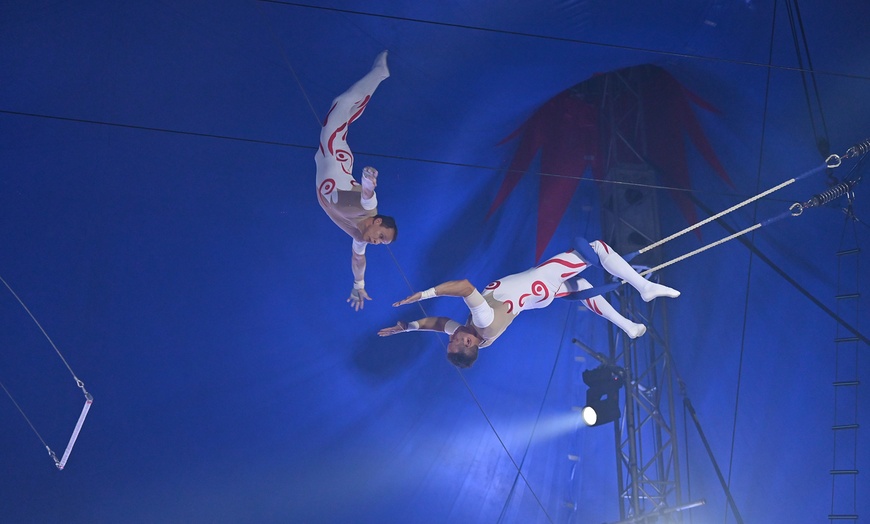 Image 5: Magie et féérie se rencontrent avec le cirque de Noël de Toulouse