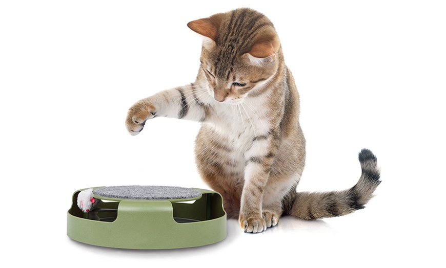 Image 4: Moving Chase Toy for Cats