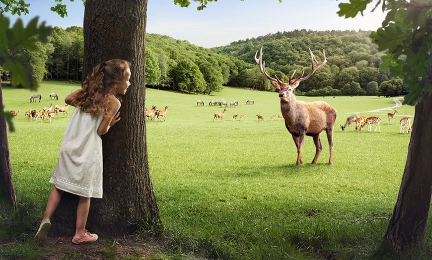 Image 10: Aventurez-vous au cœur de la Grotte de Han et de son parc animalier