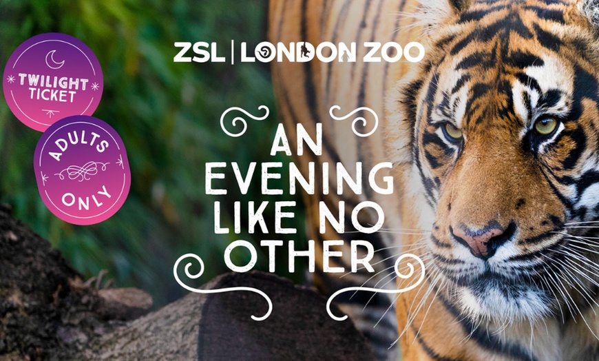 Image 1: London Zoo Twilight - The Secret Life Of London Zoo After Hours