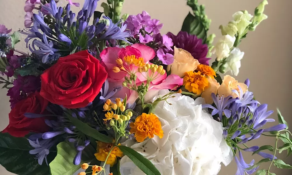 Flowers and Plants at Loose Leaf Florist (Up to 47% Off). Two Options Available. - Second Medium