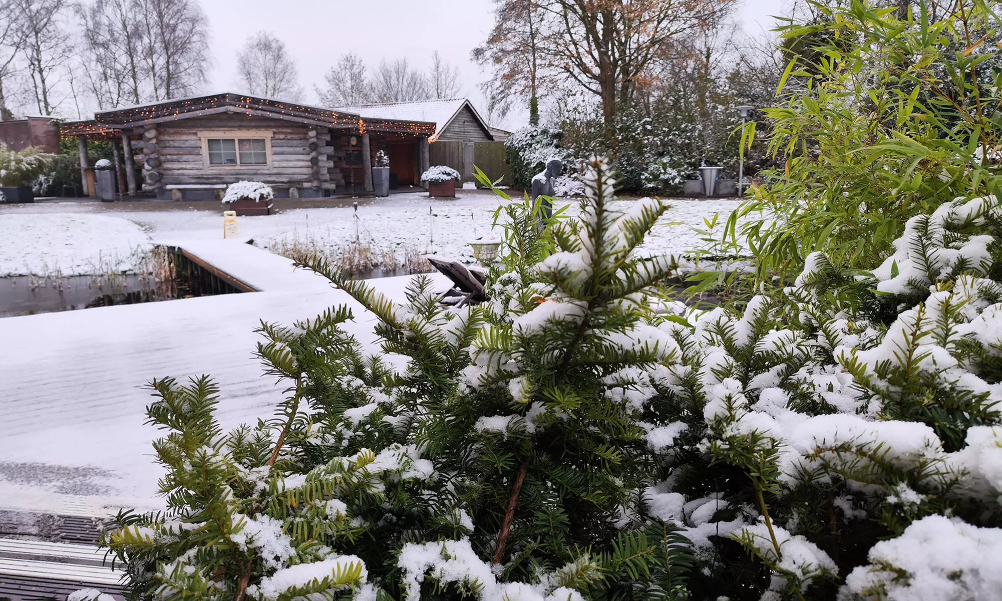 Geniet van diverse sauna's in een groene oase