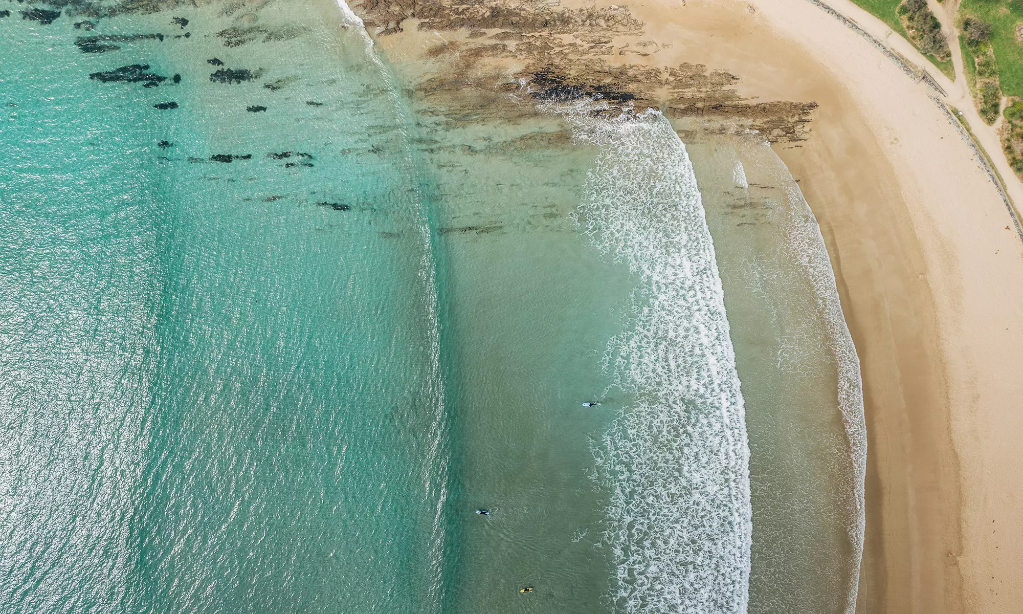 Ultimate Great Ocean Road Morning Escape Day Tour for Infant to Adult
