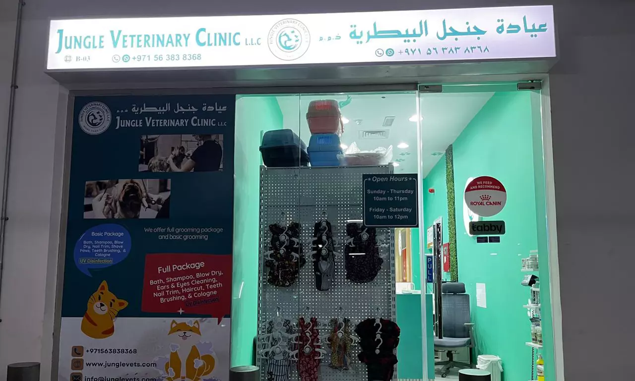 Basic or Full Grooming for Cats or Dogs of Various Sizes