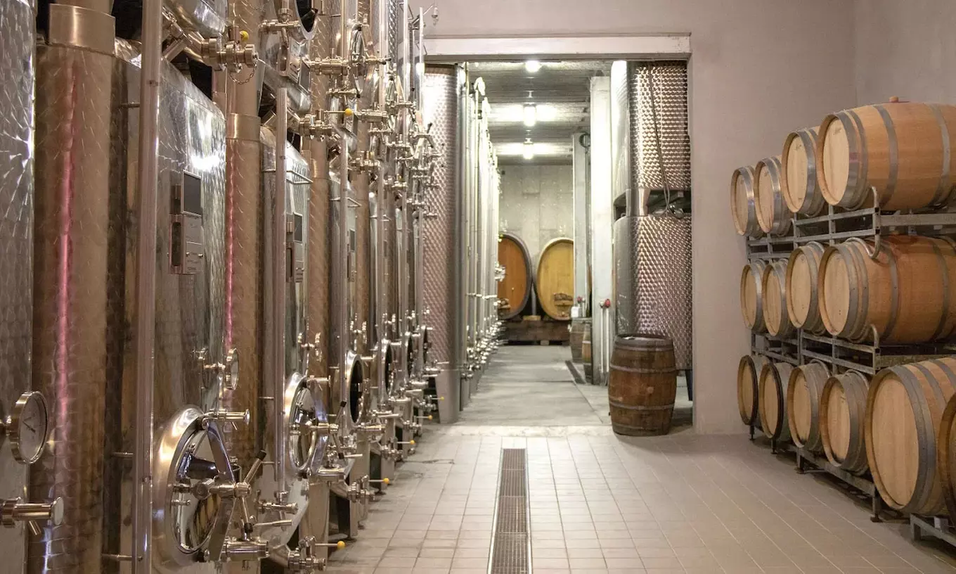 Atelier découverte des vins d'Alsace et visite de cave pour 2 ou 4 p.