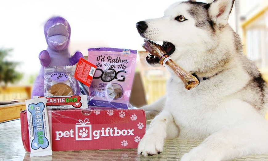 dog toys and treats delivered monthly