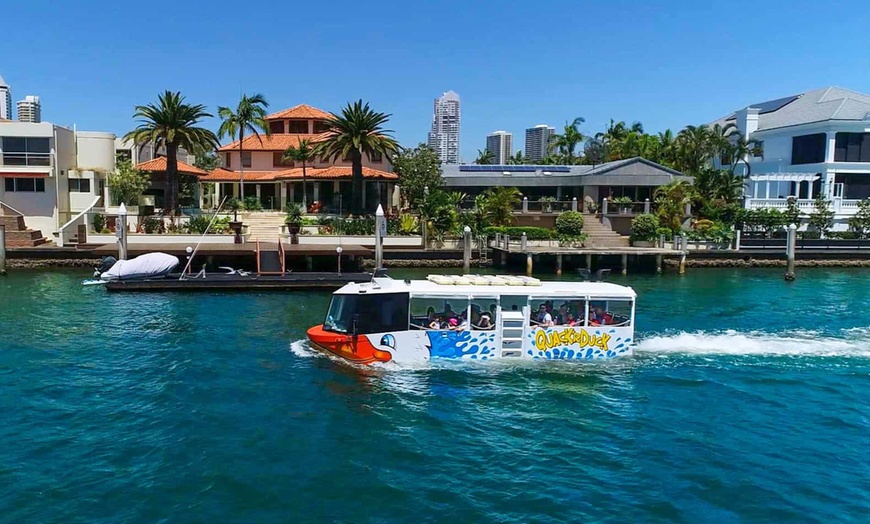 Image 9: Splash and Sightsee: Amphibious Duck Tour for Child, Adults, or Family