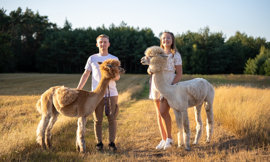 Image 8: Do 15% zniżki na Zoo/Park safari w Alpakowa Polana