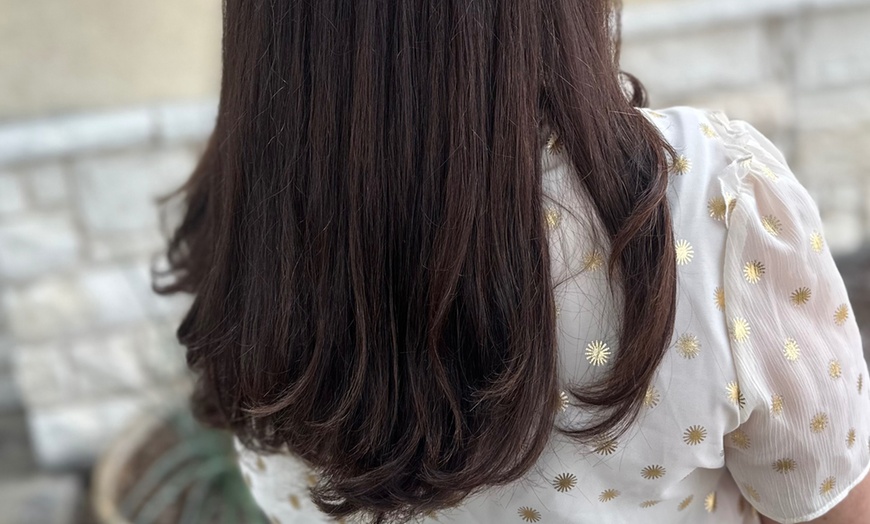 Image 6: Get a Fresh Women's Haircut & New Client Complimentary Color Consult