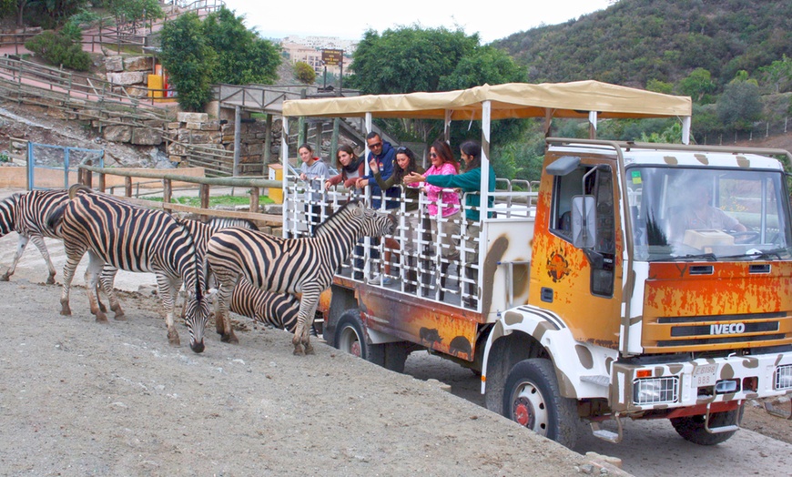 Image 2: Selwo Aventura: entrada para el parque número 1 en Málaga