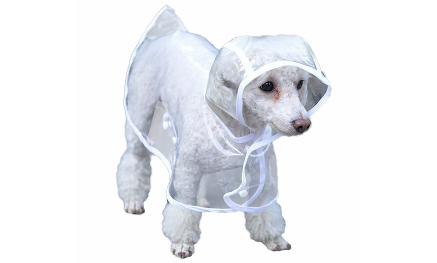 Image 1: Bunty Clear Dog Raincoat