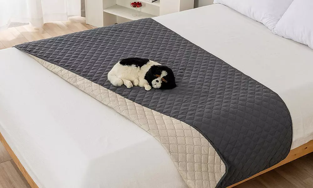 Wasser- und rutschfeste Hundedecke zum Möbelschutz