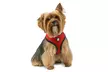 FurHaven Pet Easy Comfort Mesh Dog Harness - Second Medium