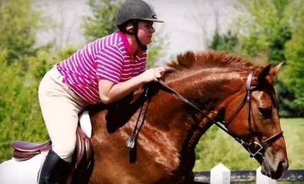 One or Three Private or Group Horseback-Riding Lessons at Downtown Equestrian Center in Frankfort (Up to 54% Off) - Primary Image