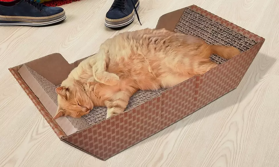 Van Ness Scratch 'n Doze Cat Scratcher Bed - Primary Image