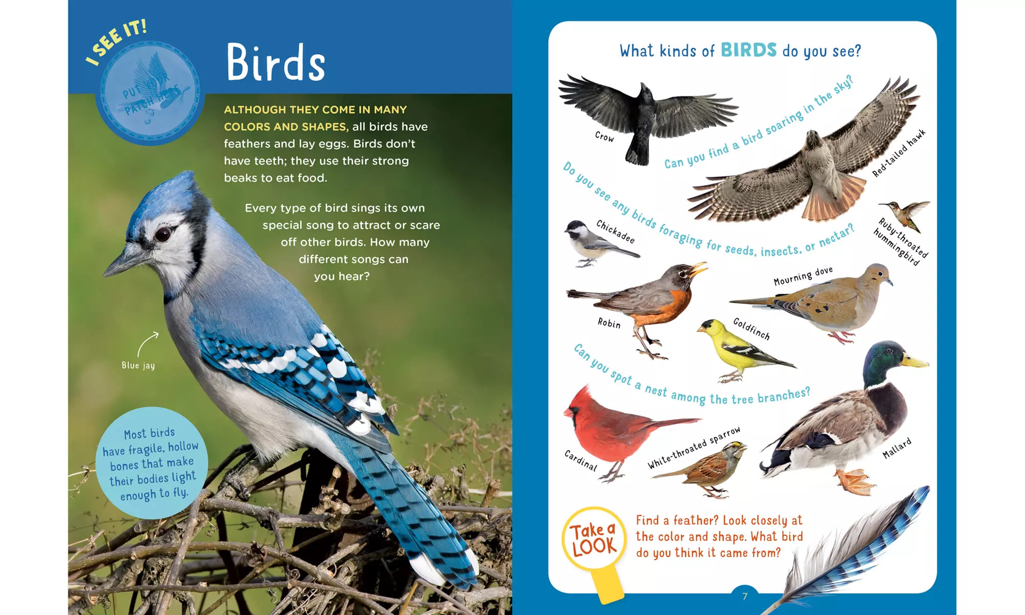 Backpack Explorer Book: On the Nature Trail - Second Medium