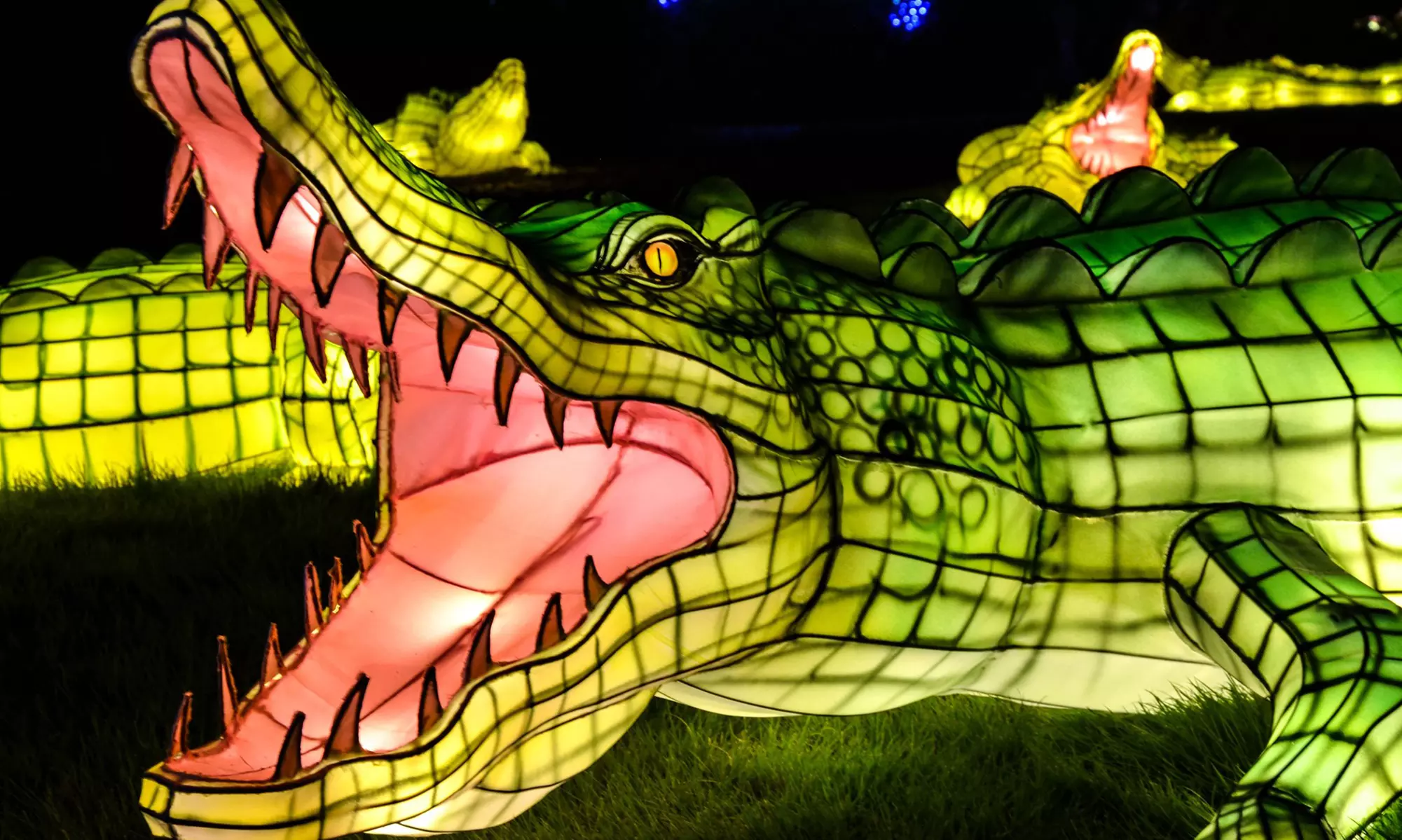 Save on Admission to Bronx Zoo’s Holiday Lights Spectacular!