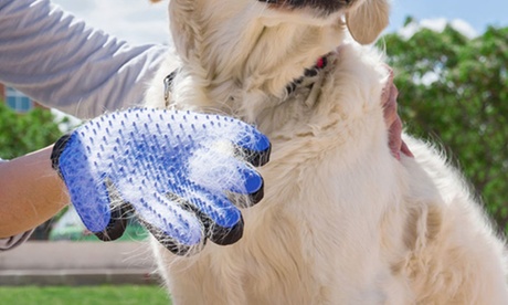 Fino a 4 guanti elimina-peli per cani e gatti