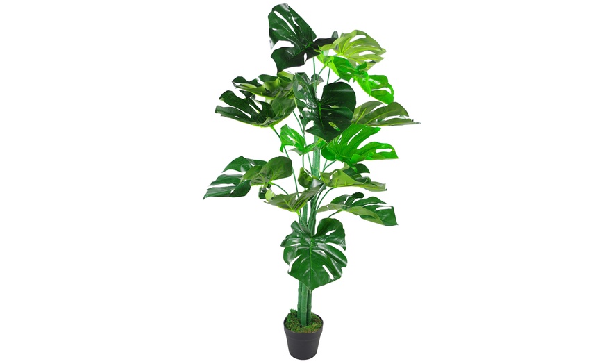 Image 6: Choice of Leaf Artificial Monstera Cheese Plant