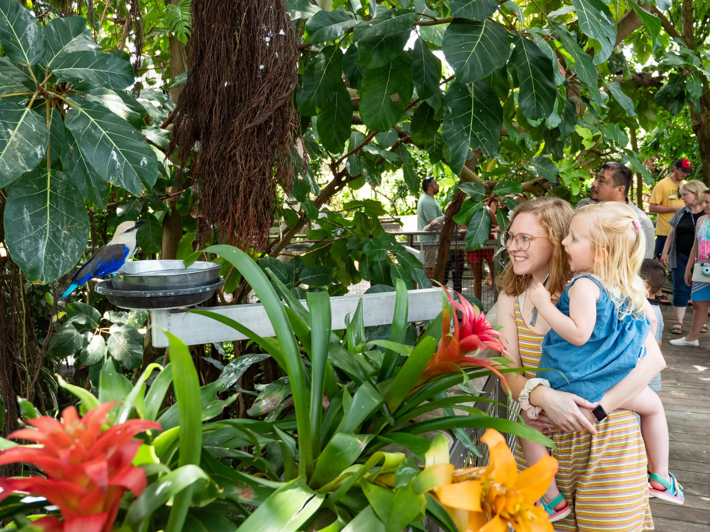Member Pricing: Coastal Galveston Resort, includes Value Pass

