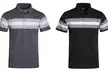 2-Pack Hawks Bay Striped Men's Spring Polos - Second Medium