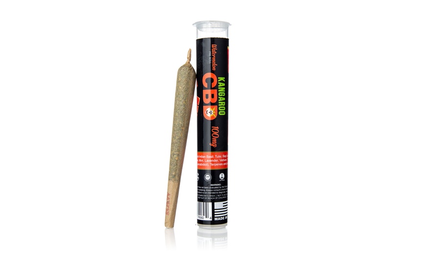 Terpene-Infused CBD Single Cone Pre-Roll (100mg) from Kangaroo CBD ...