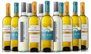 12 Summer White wine bottles