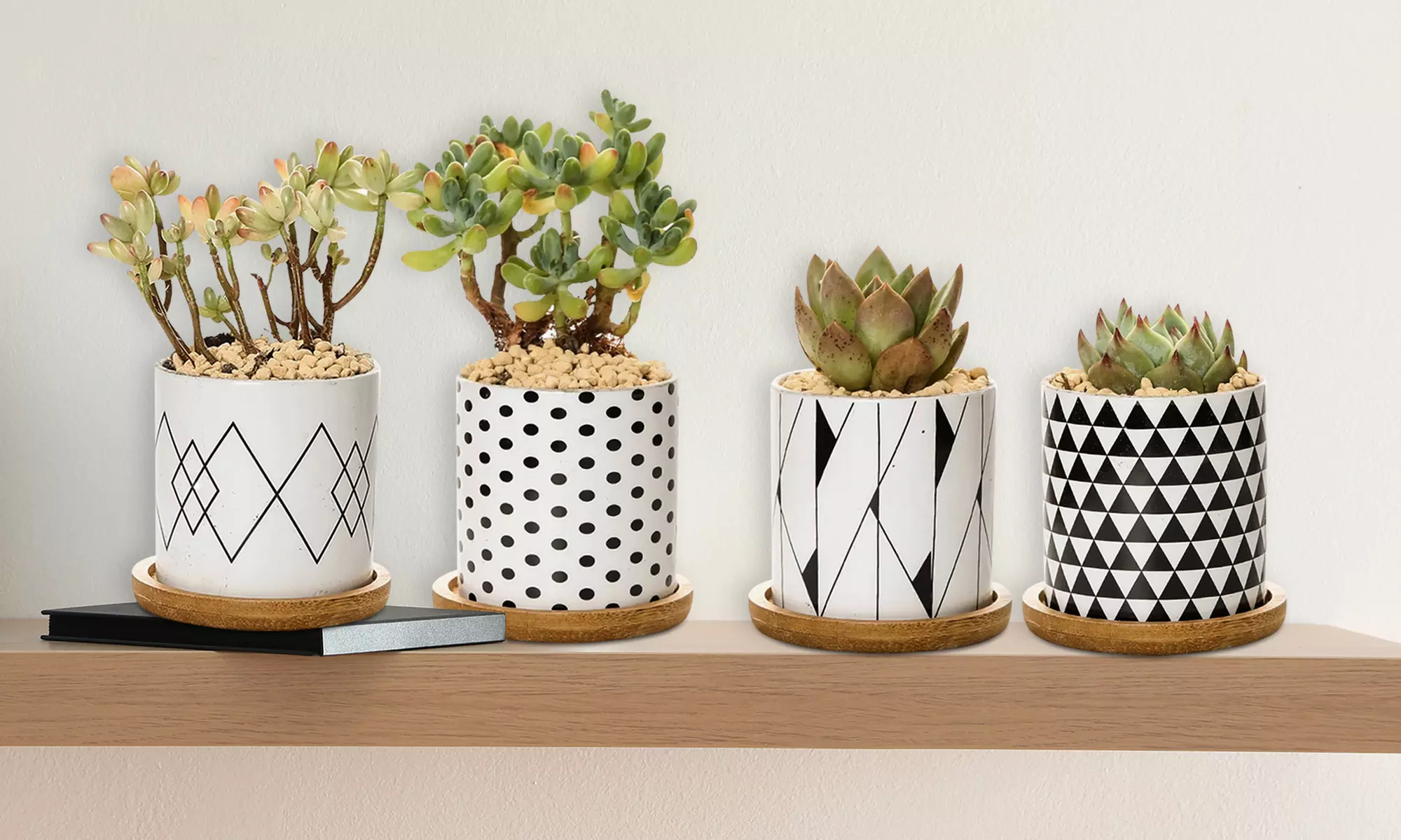 Lot de 3 pots de fleurs en céramique pour succulentes