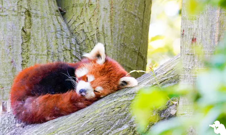 Bis zu 50% Rabatt auf den Fotografie bei Fotografie Klein