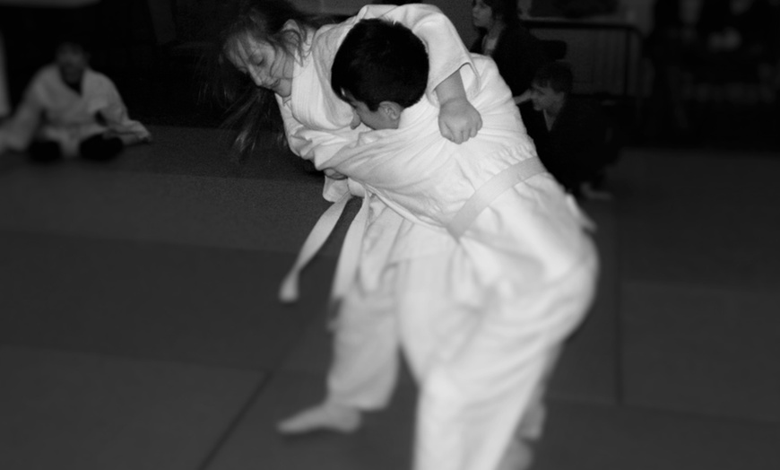 Image 4: Judo Classes, Kidbrooke