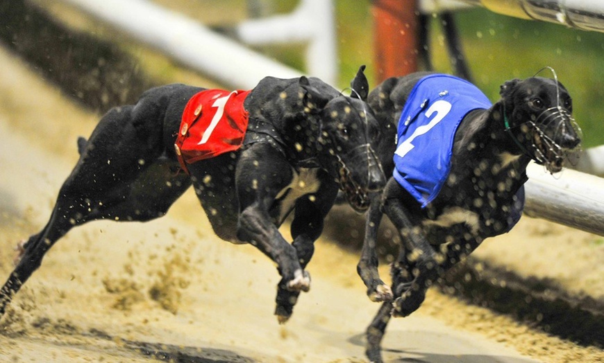 Image 1: Greyhound Racing Bundle at Romford Greyhound Stadium