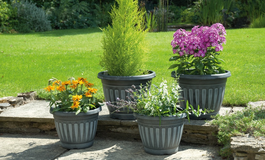 Image 2: Four Georgian-Style Planters