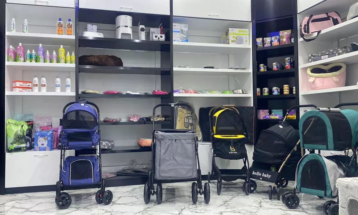 Full Grooming with Haircut at Cute Cat Veterinary clinic