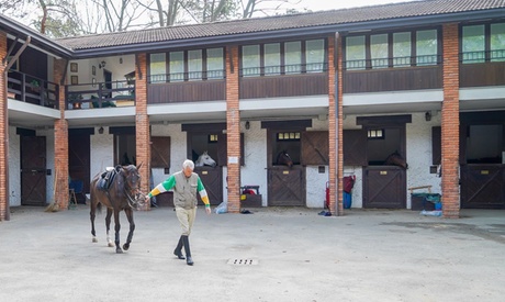 3 o 5 lezioni di equitazione per adulti e bimbi al centro ippico Garzonera, Parco del Ticino (sconto fino a 65%)