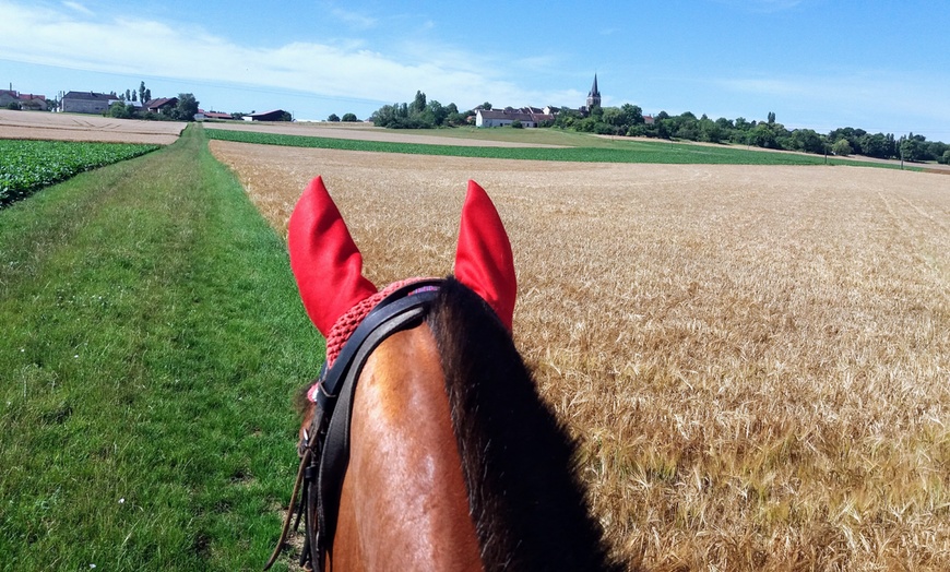 Image 4: Balade en calèche