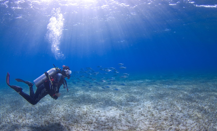 Image 3: Scuba Diving Experience