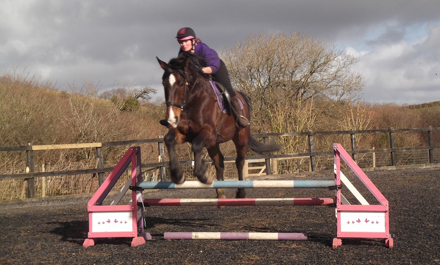 Image 1: Private Horse Riding Lesson